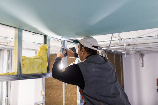 Best Types of Insulation in Woodville, OH