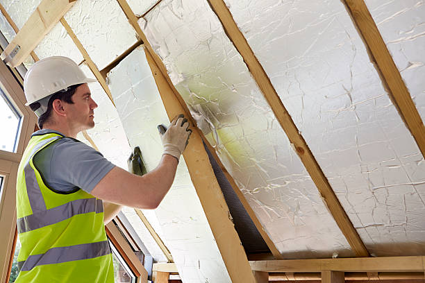 Best Residential Insulation in Woodville, OH