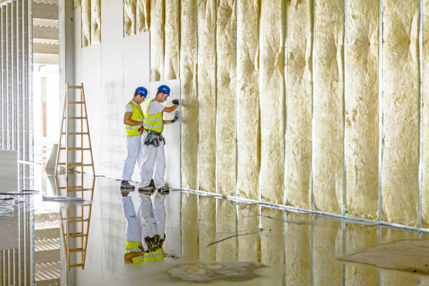 Best Insulation Installation Services in Woodville, OH